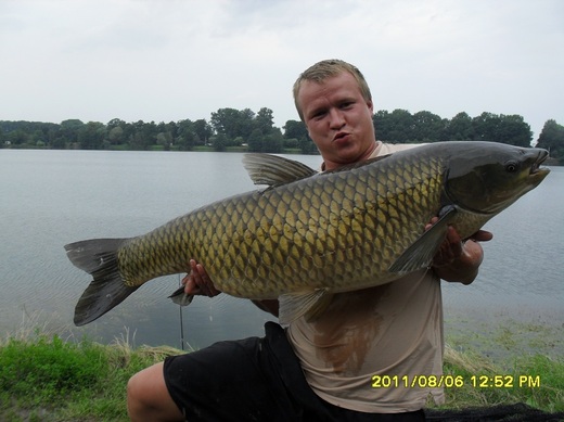 Amur byl chycen na Tovacovskych jezerech jako nastrahu a navnadu jsem pouzil spendliky.Amura jsem zdolaval ze clunu cca35 minut.Za vikend jsem ulovil nekolik amuru v rozmezi 8-22kg vse na spendliky.